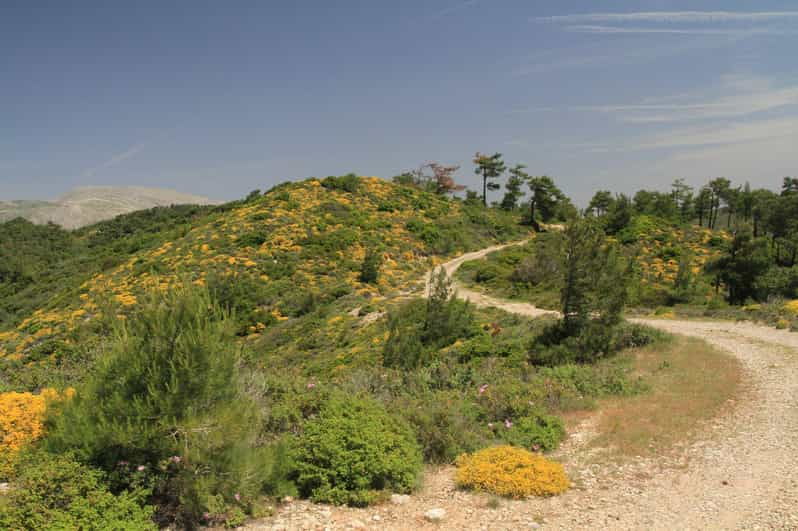 rhodes-safari-with-experienced-driver-south-pick-ups