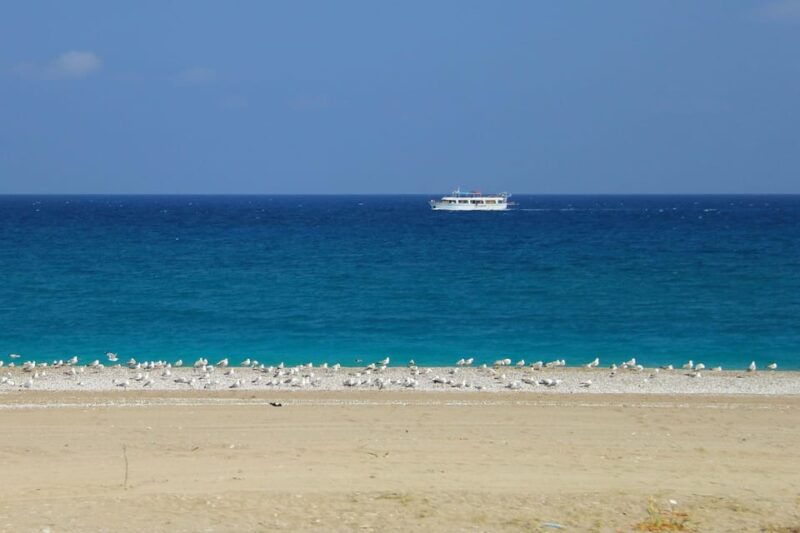 rhodes-safari-with-our-driver-north-pick-ups-east-coast