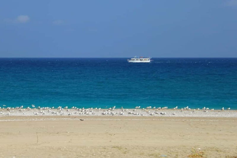 Rhodes: Safari with our driver - North - Pick ups West Coast - Final Thoughts