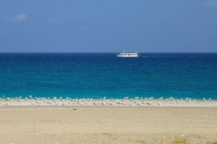 rhodes-safari-with-our-driver-north-pick-ups-west-coast