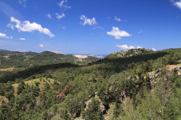 rhodes-safari-with-our-driver-north-pick-ups-west-coast