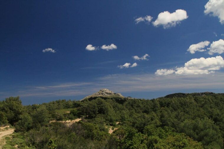 rhodes-safari-with-our-driver-north-pick-ups-west-coast