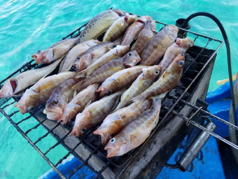 rhodes-town-fishing-boat-trip-with-fish-meal-and-swim-stops