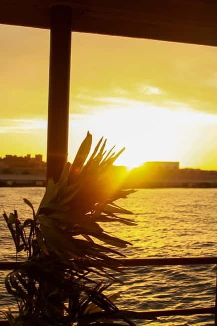 Rhodes: Weekend Sunset Live DJ Boat Party with Free Transfer - Who Should Consider This Experience?