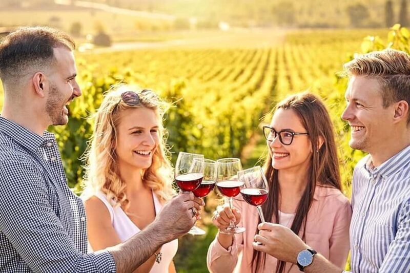 Rhodes: Wine Tasting in Embonas, the Land of Rhodian Wine - Final Thoughts