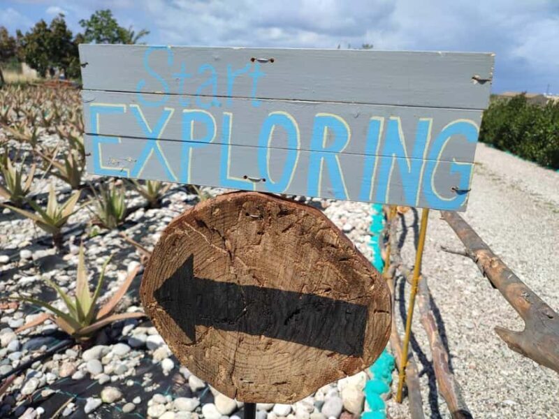 Rhodes:Explore the farm's paths & discover aloe vera & herbs - An In-Depth Look at the Farm Experience in Rhodes