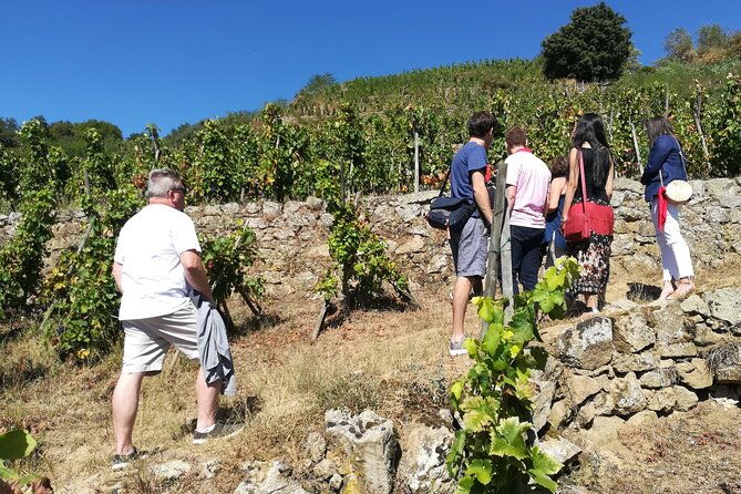 rhone-valley-wine-chocolate-tasting-private-day-tour-from-lyon