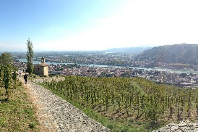 rhone-valley-wine-chocolate-tasting-private-day-tour-from-lyon