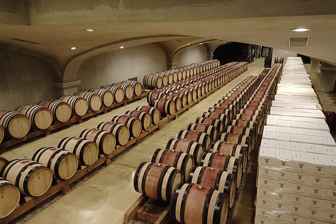 rhone-valley-wine-chocolate-tasting-private-day-tour-from-lyon