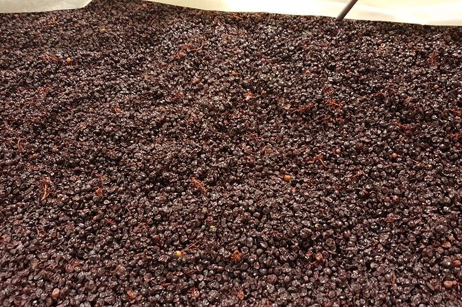 rhone-valley-wine-tasting-private-day-tour-from-lyon