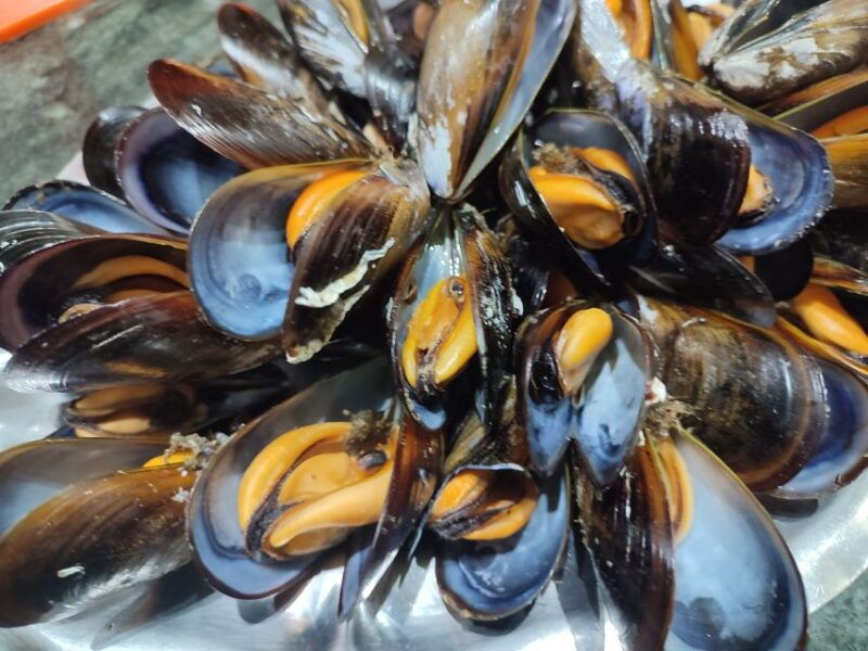ria-de-arousa-boat-ride-to-mussel-farm-with-tasting