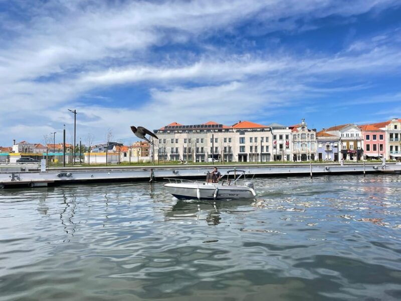 ria-de-aveiro-wakeboard-experience
