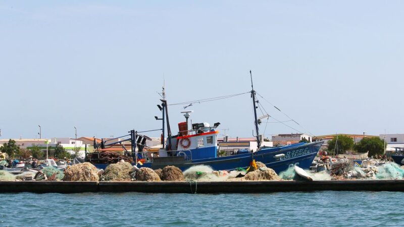 ria-formosa-2-hour-fishermen-route-boat-tour