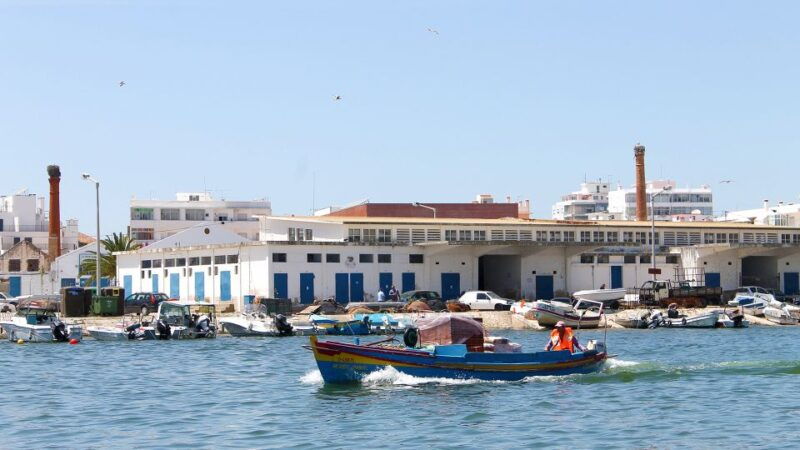 ria-formosa-2-hour-fishermen-route-boat-tour