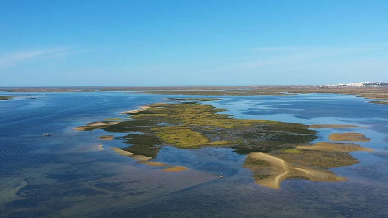 Ria Formosa: Armona and Culatra Islands 3-Hour Boat Tour - A Closer Look at the Ria Formosa Boat Tour Experience