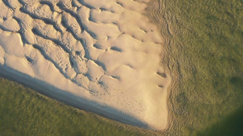 ria-formosa-armona-and-culatra-islands-boat-tour