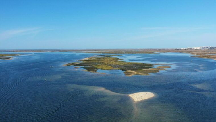 ria-formosa-armona-and-culatra-islands-boat-tour