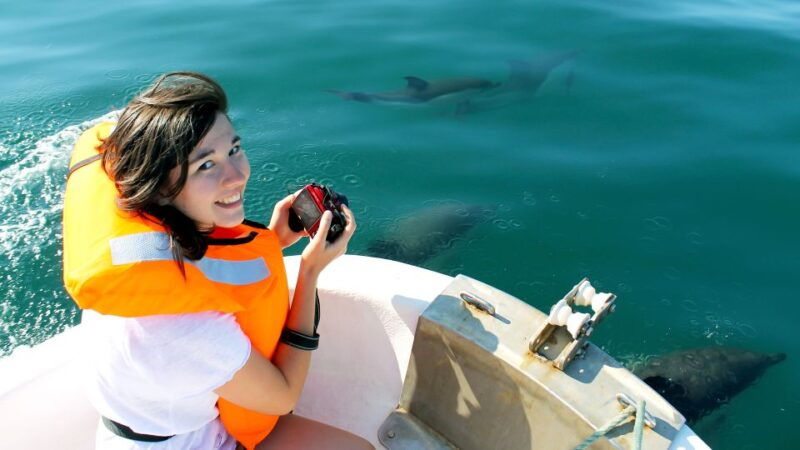 ria-formosa-dolphin-watching-boat-tour