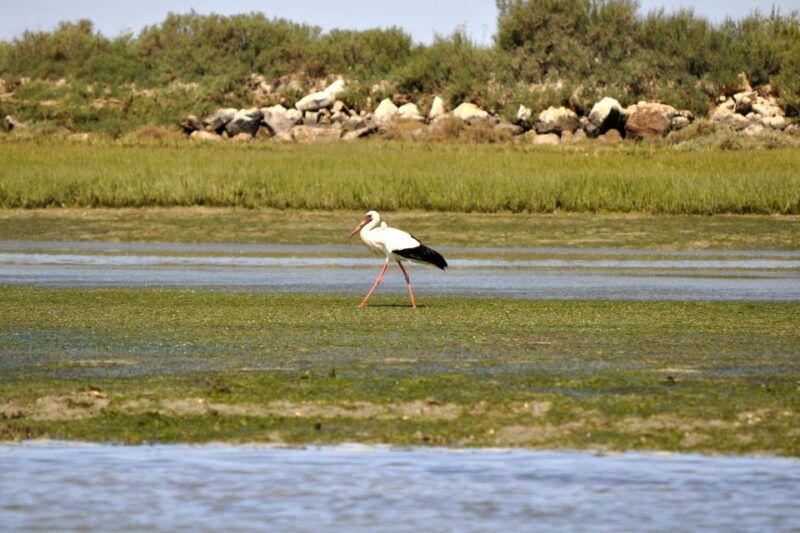 ria-formosa-national-park-kayak-trip