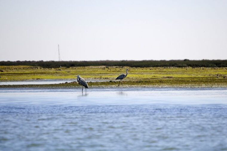 ria-formosa-national-park-kayak-trip