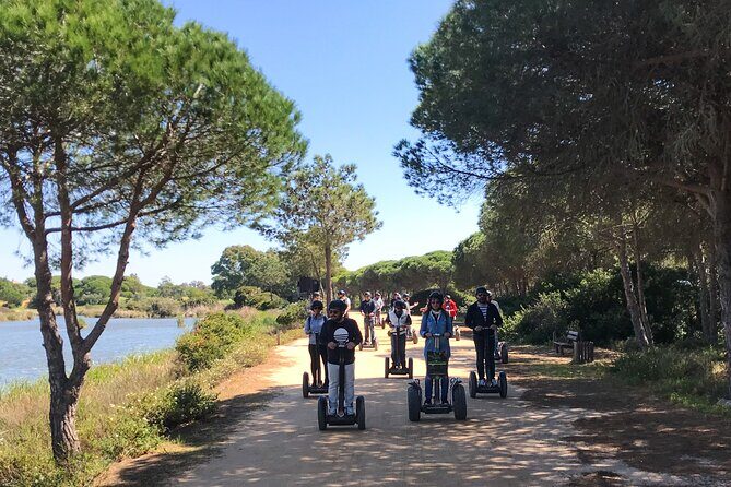 Ria Formosa Natural Park Birdwatching Segway Tour from Faro - A Closer Look at the Tour Experience
