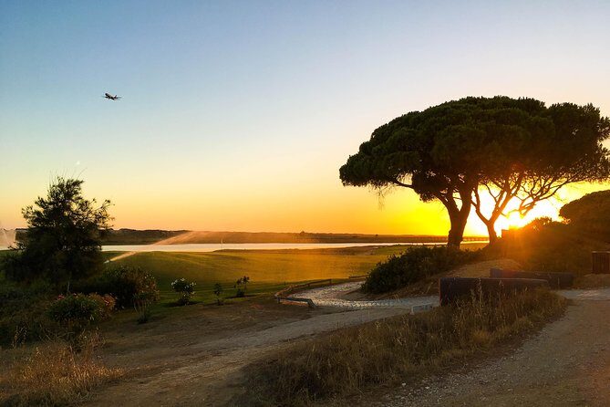 Ria Formosa Natural Park Birdwatching Segway Tour from Faro - Who Will Love This Tour?