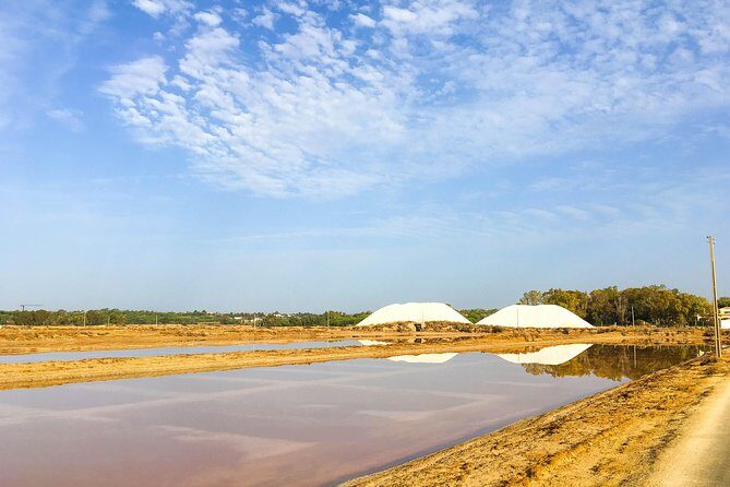 Ria Formosa Natural Park Birdwatching Segway Tour from Faro - FAQs