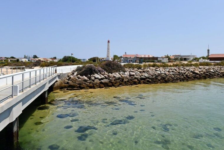 ria-formosa-sightseeing-boat-tour-from-olhao