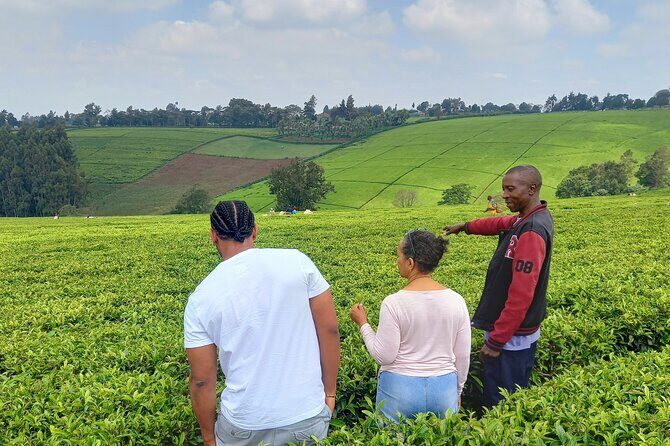 Riara tea farm tour with lunch and tea tasting from Nairobi - Key Points