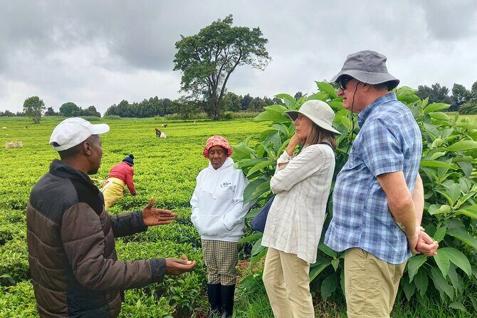 Riara tea farm tour with lunch and tea tasting from Nairobi - Why This Tour Offers Great Value