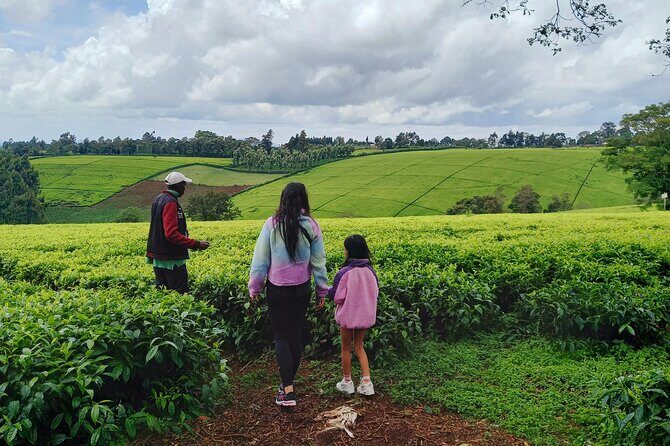 Riara tea farm tour with lunch and tea tasting from Nairobi - Frequently Asked Questions