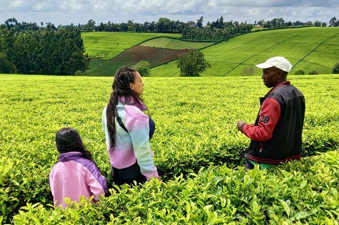 Riara tea farm tour with lunch and tea tasting from Nairobi - Final Thoughts