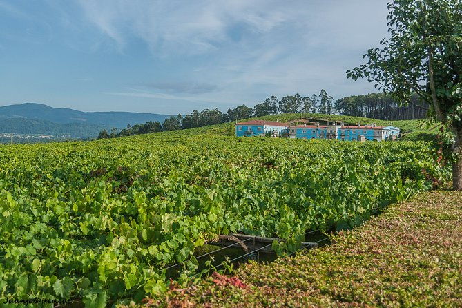 rias-baixas-private-tour-from-santiago-de-compostela