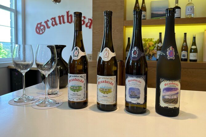rias-baixas-private-wine-tasting-tour-in-a-porsche-taycan