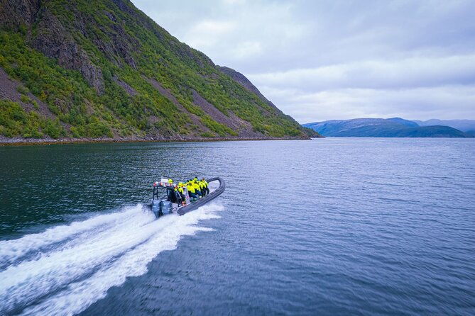 rib-expedition-to-seiland-national-park-3-5h-2
