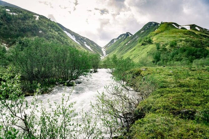 rib-expedition-to-seiland-national-park-3-5h