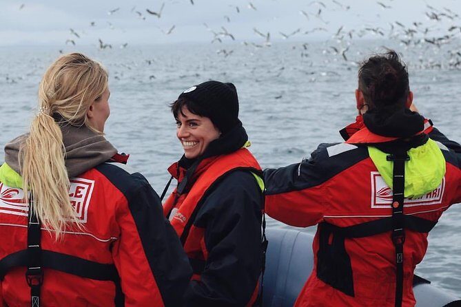RIB Whale Watching Small-Group Boat Tour from Reykjavik - The Itinerary Breakdown