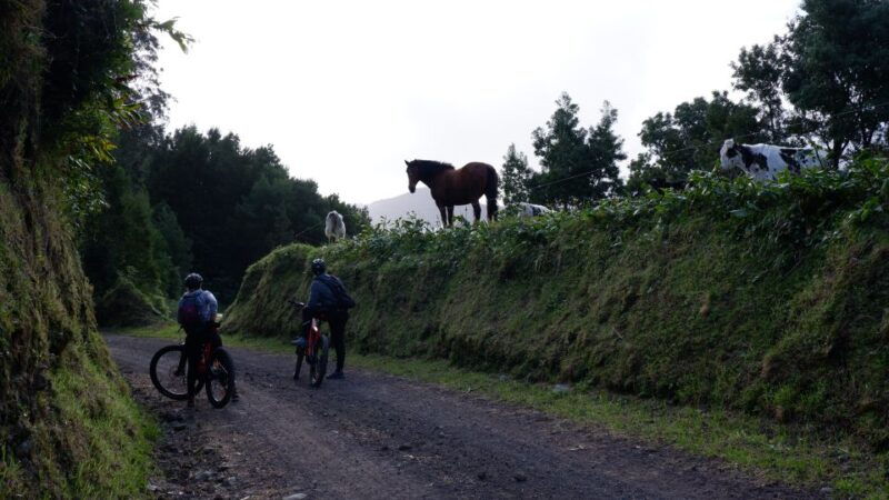 ribeira-grande-guided-e-bike-tour