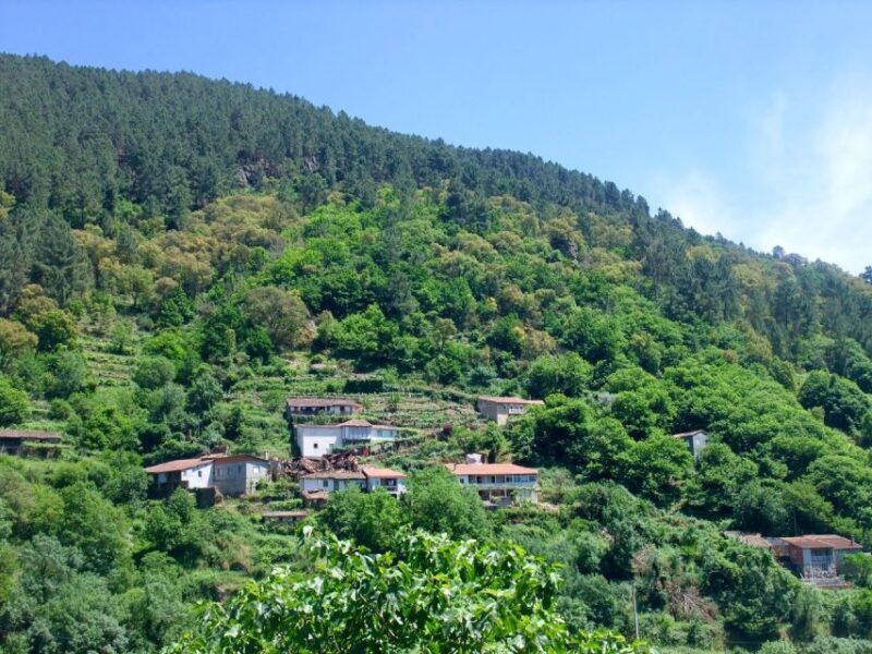Ribeira Sacra & Ourense Day Tour with Catarmaran Cruise - FAQ