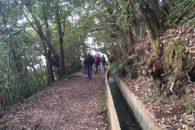 ribeiro-frio-portela-2
