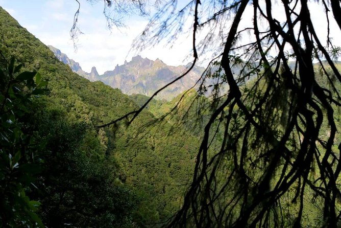 ribeiro-frio-portela
