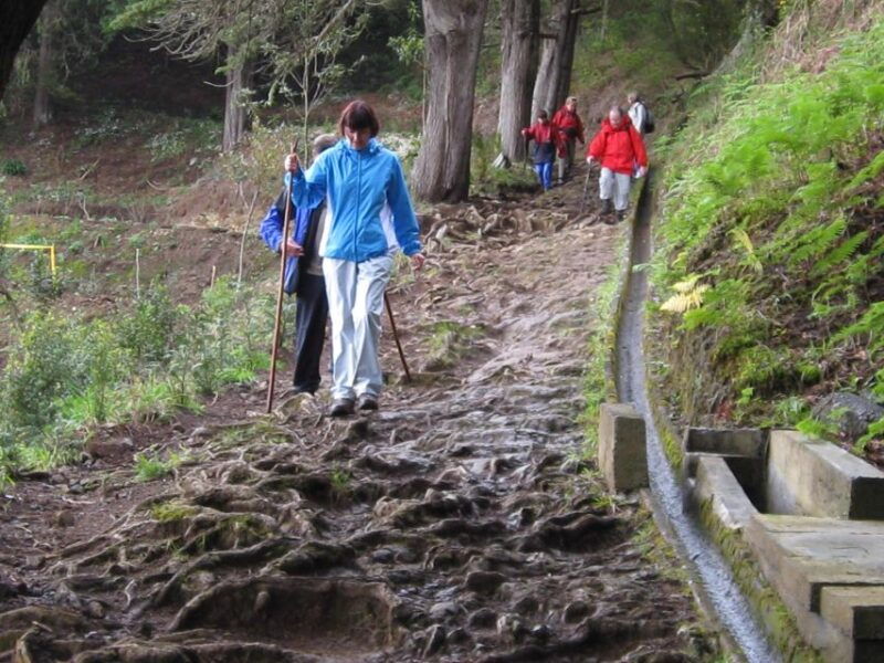 ribeiro-frio-portela-full-day-hike