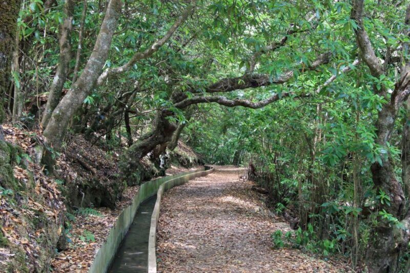 ribeiro-frio-portela-levada-do-furado