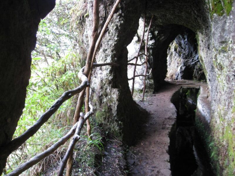 ribeiro-frio-portela-levada-walk