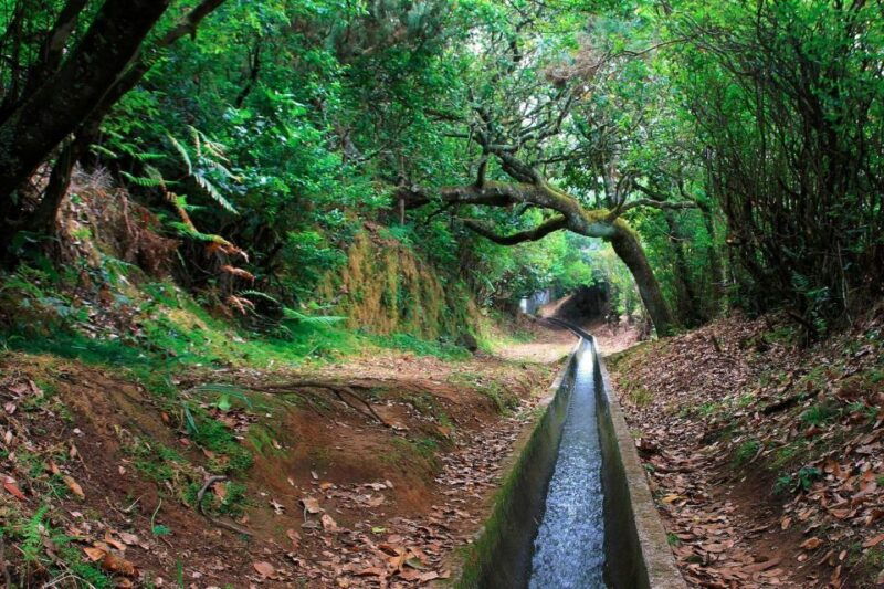 ribeiro-frio-portela-levada-walk