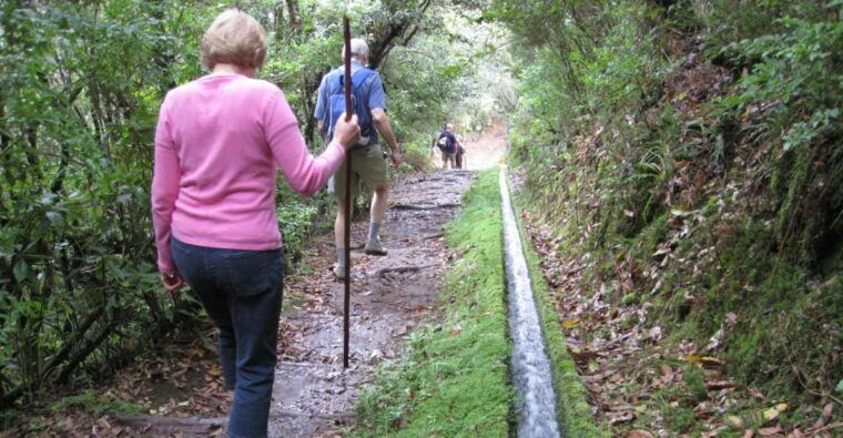 ribeiro-frio-portela-levada-walk