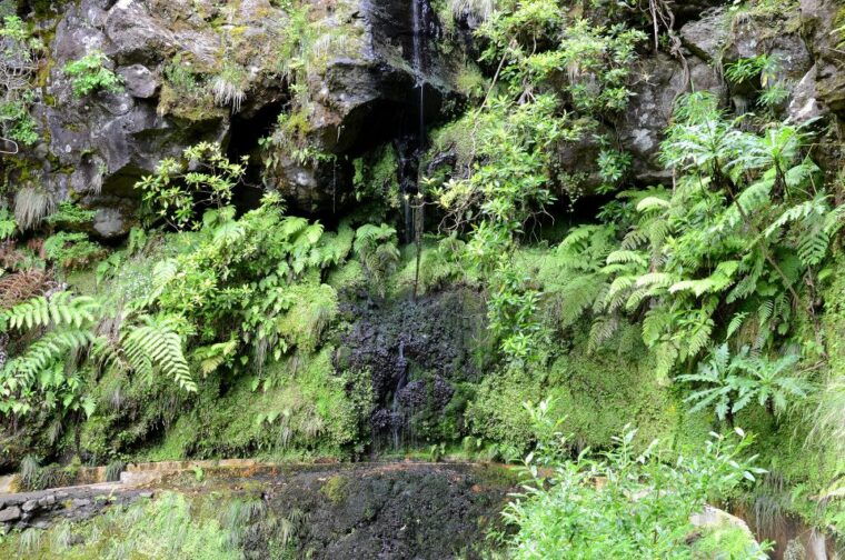 ribeiro-frio-portela-levada-walk