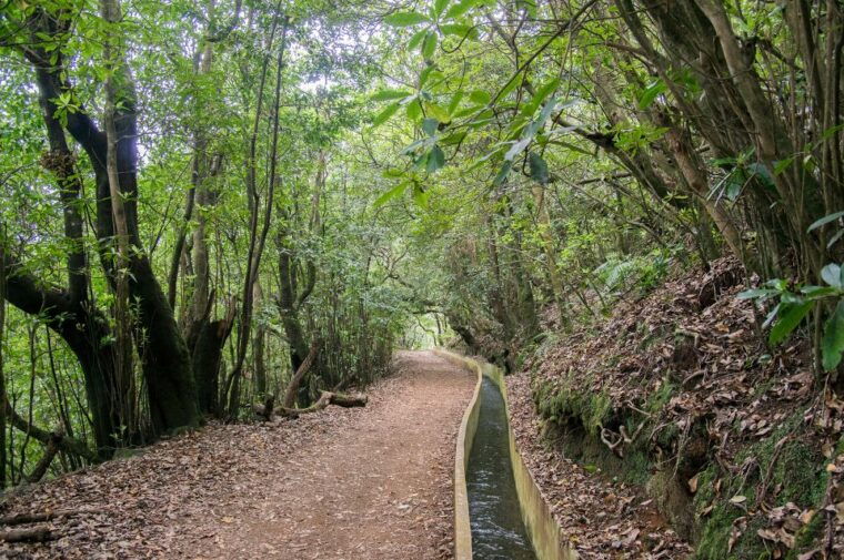 ribeiro-frio-portela-levada-walk