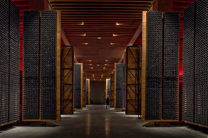 ribera-and-rioja-wineries-private-tour-from-madrid