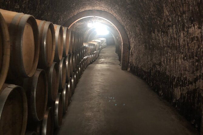 ribera-del-duero-2-winery-visits-and-transport-from-madrid